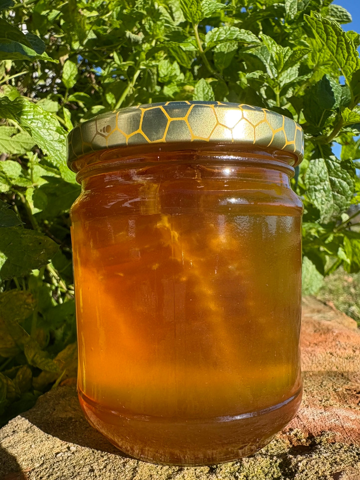 MIELE DI ACACIA CON FAVO NATURALE