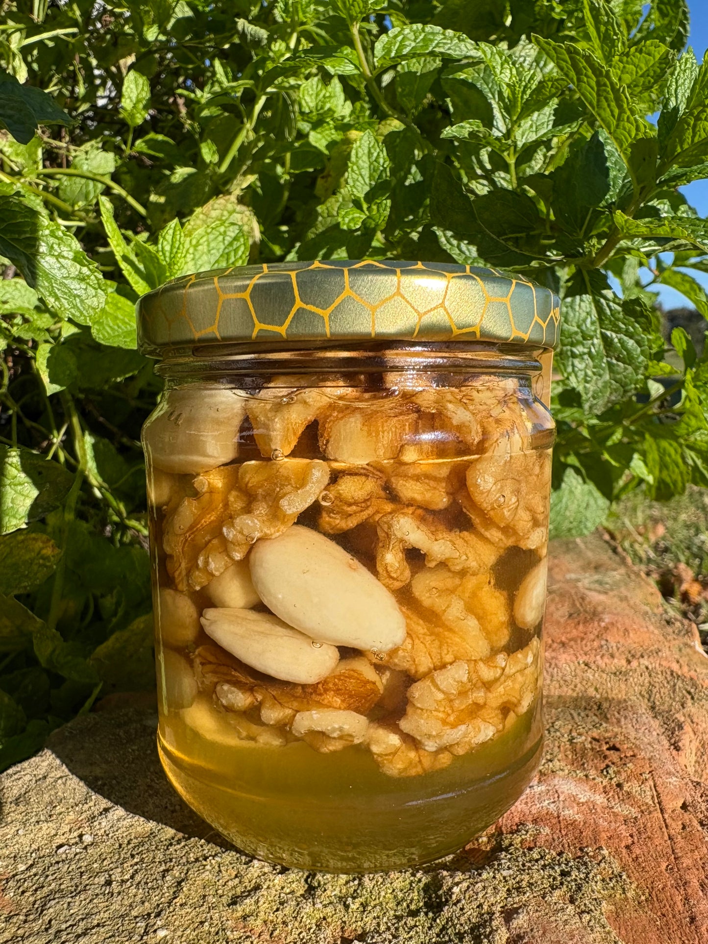 ACACIA CON MIX DI FRUTTA SECCA