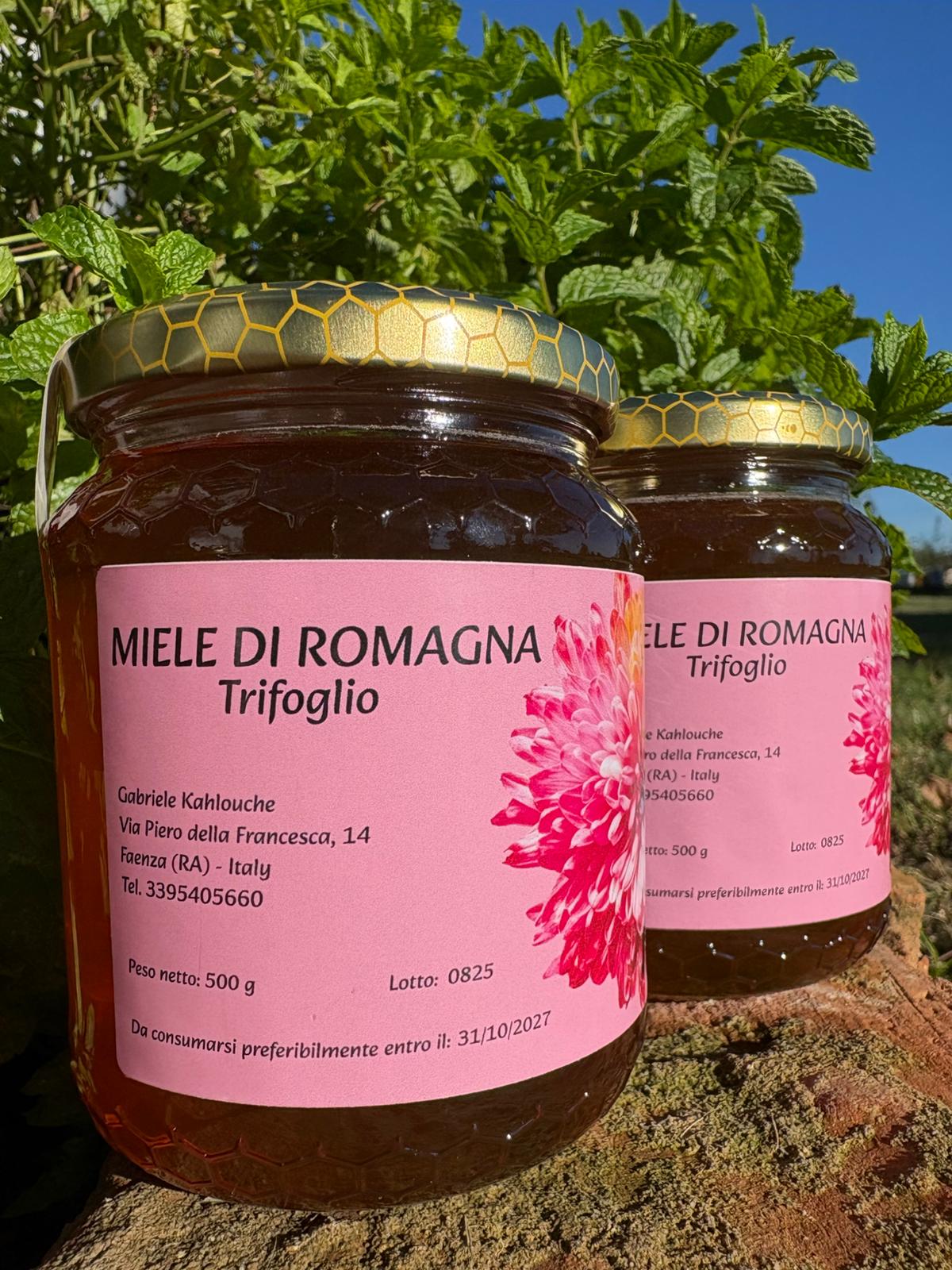 MIELE DI TRIFOGLIO