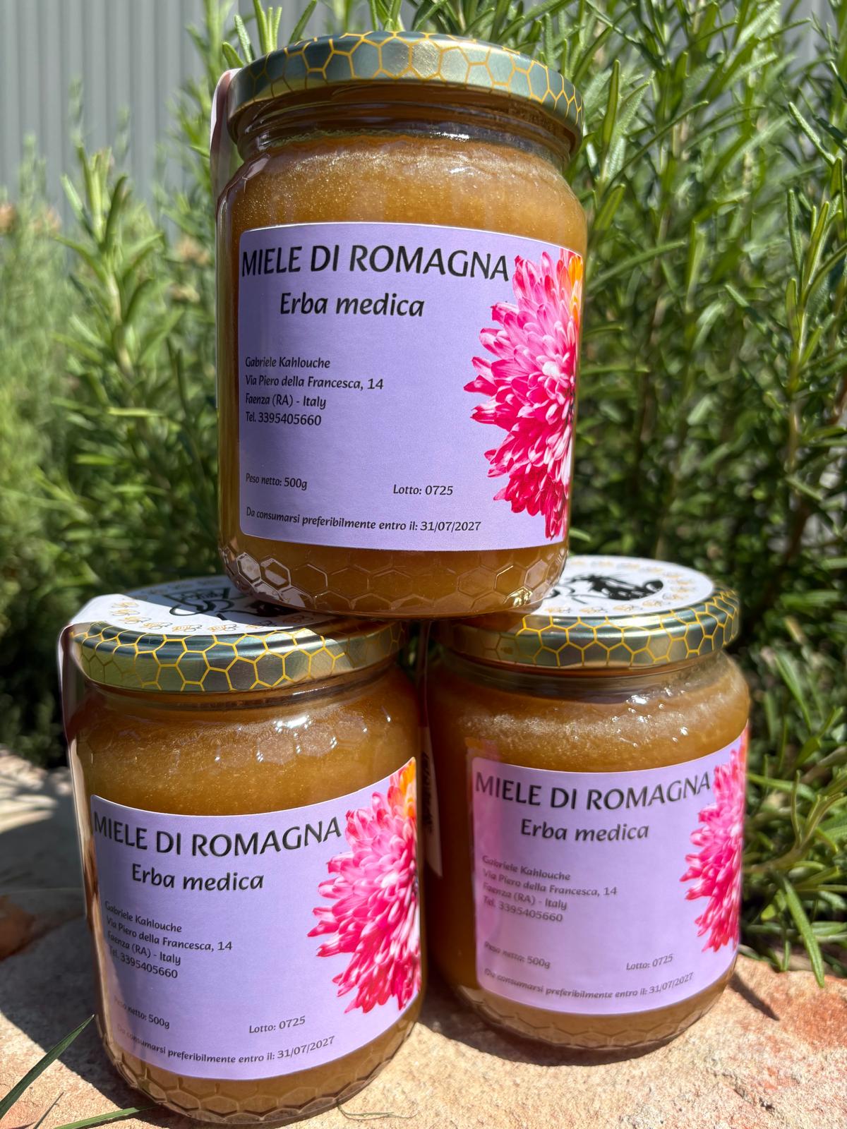MIELE DI ERBA MEDICA