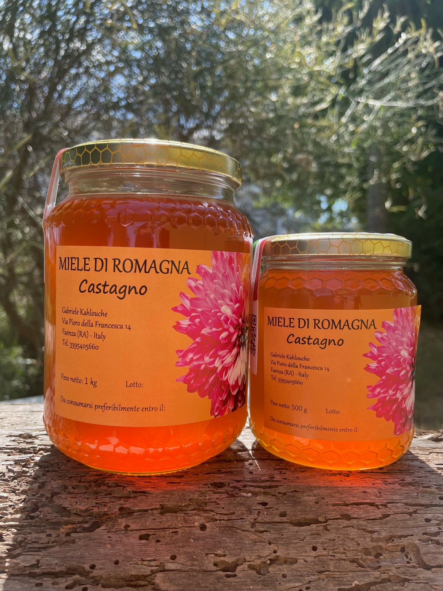 MIELE DI CASTAGNO