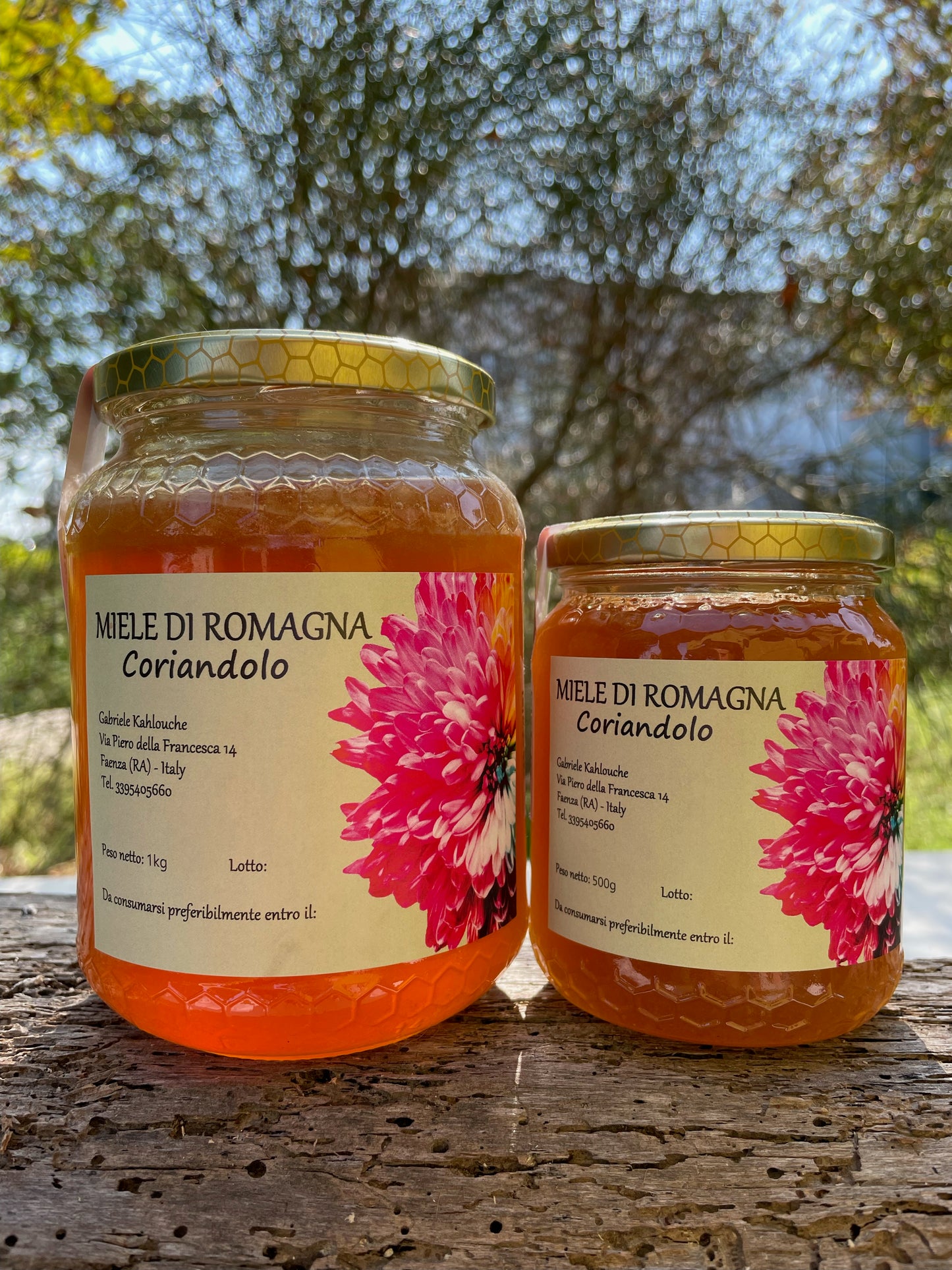 MIELE DI CORIANDOLO