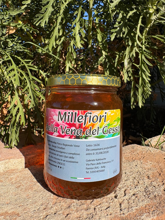MIELE MILLEFIORI DELLA VENA DEL GESSO