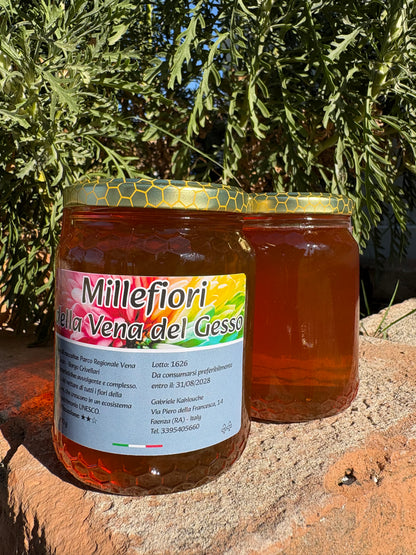 MIELE MILLEFIORI DELLA VENA DEL GESSO