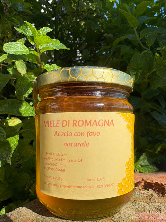 MIELE DI ACACIA CON FAVO NATURALE