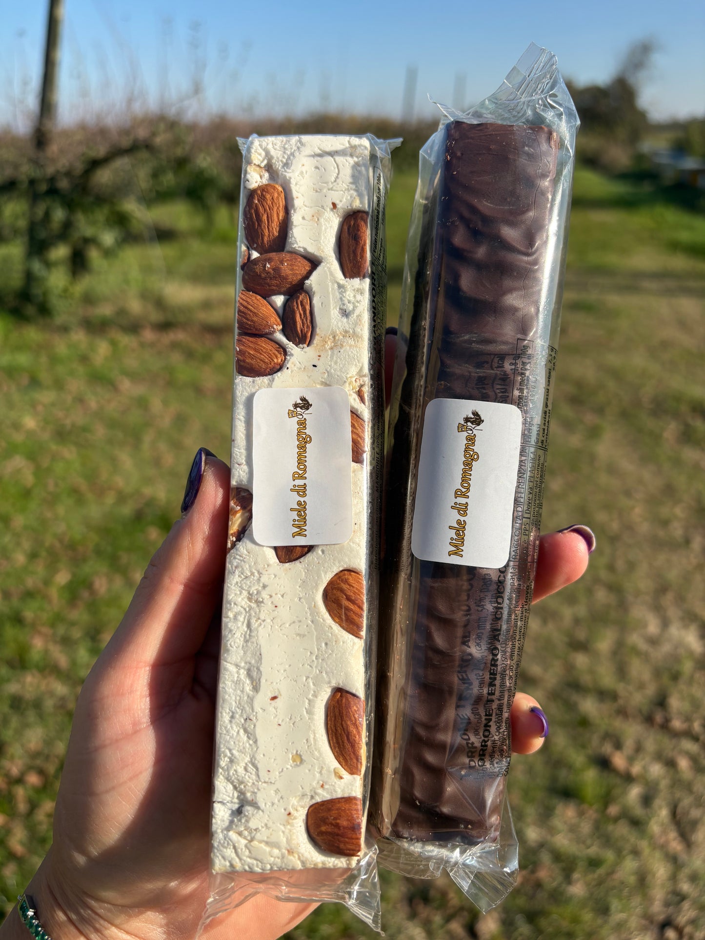 TORRONE TENERO CON MANDORLE