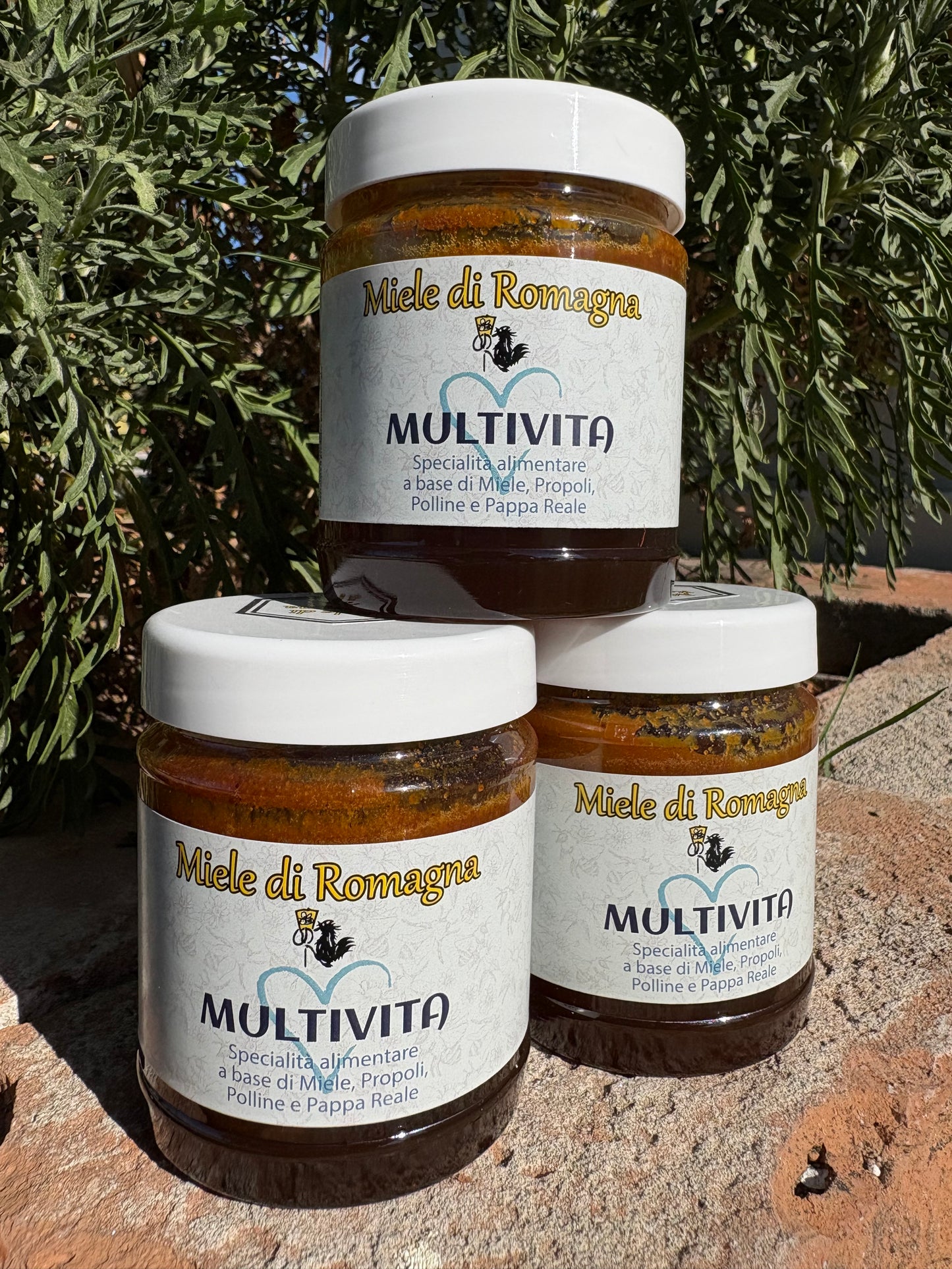 Multivita - Miele, Polline, Pappa Reale e Propoli 250gr