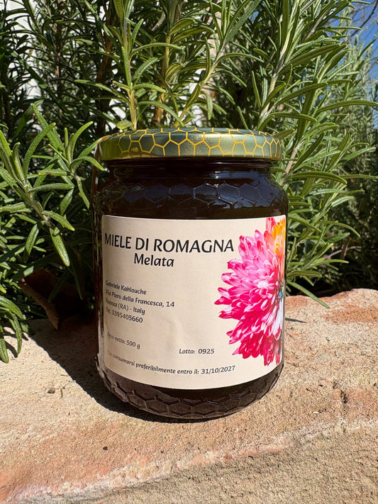 MIELE DI MELATA