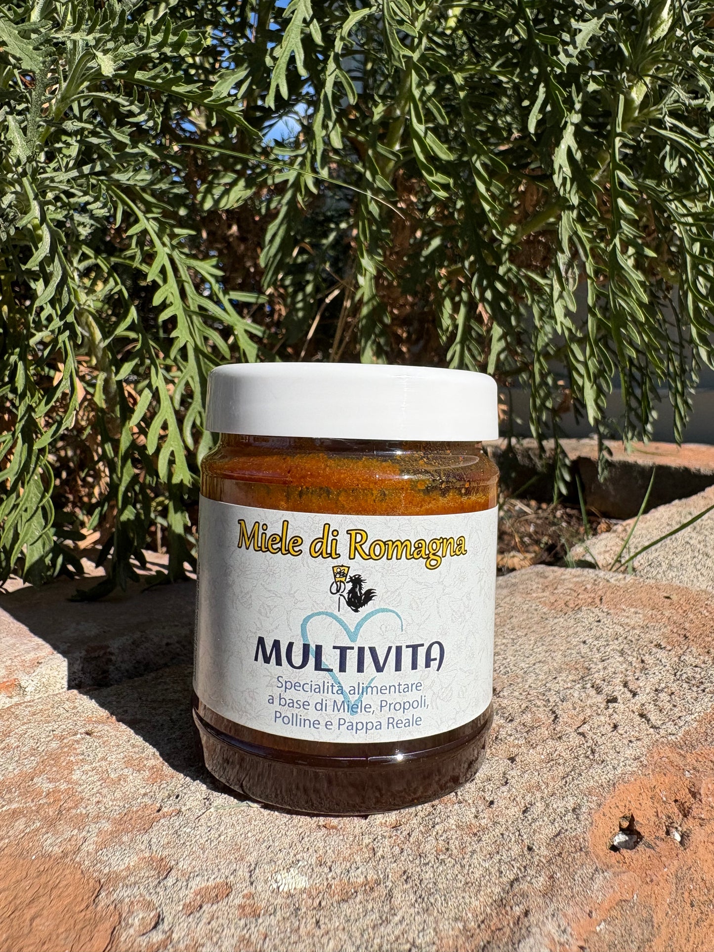 Multivita - Miele, Polline, Pappa Reale e Propoli 250gr