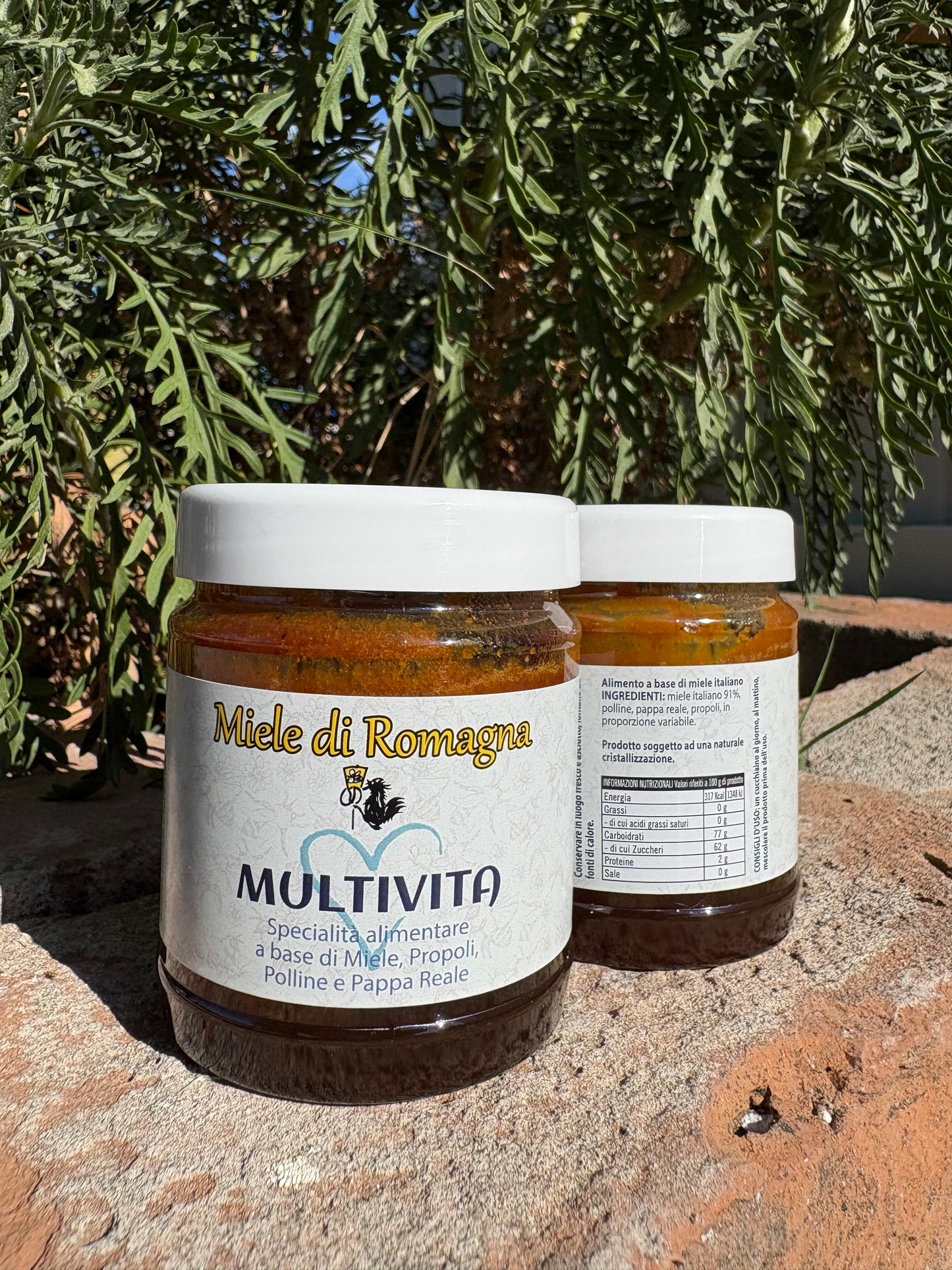 Multivita - Miele, Polline, Pappa Reale e Propoli 250gr