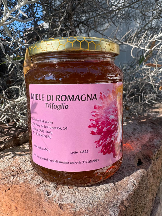 MIELE DI TRIFOGLIO