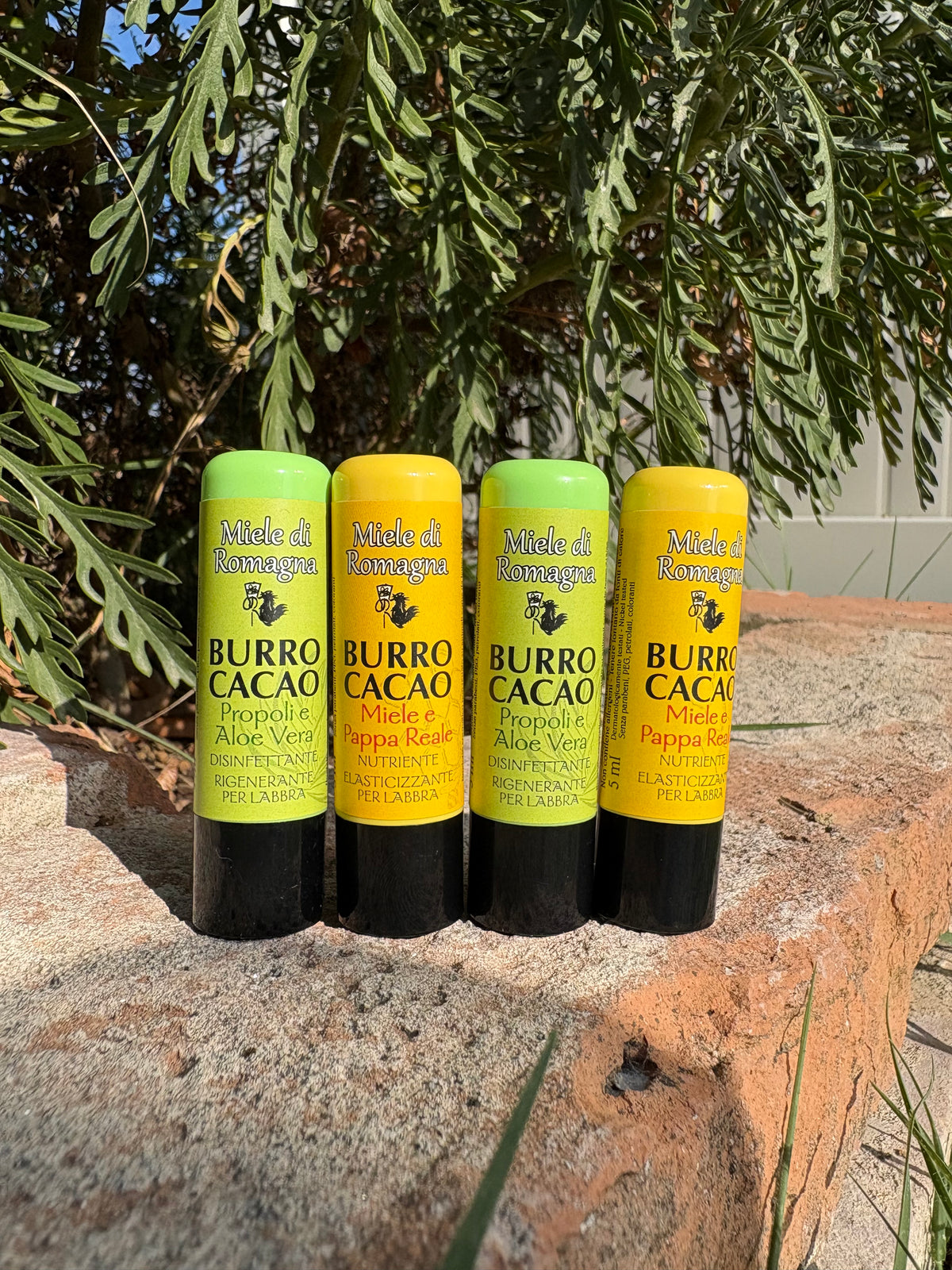 Burro Cacao Propoli e Aloe Vera – Disinfettante Rigenerante