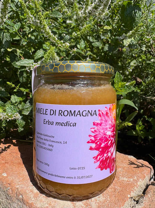 MIELE DI ERBA MEDICA