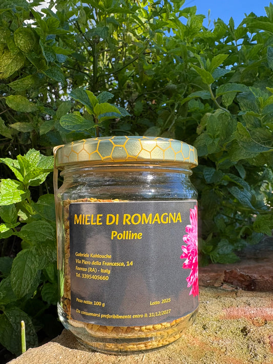 Polline - 100g