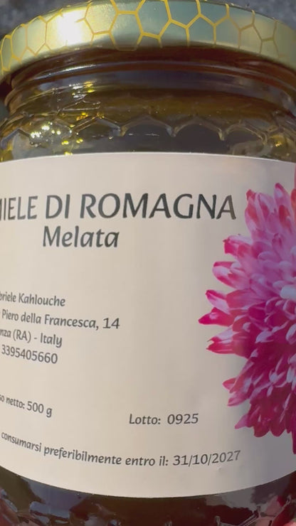 MIELE DI MELATA